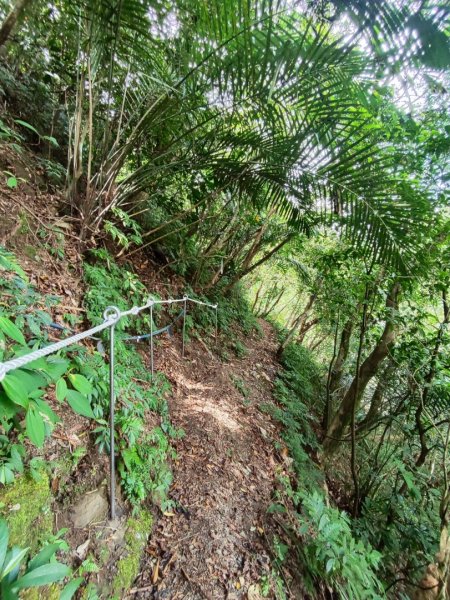 淡蘭古道第三段（我的淡蘭最終章）2838801