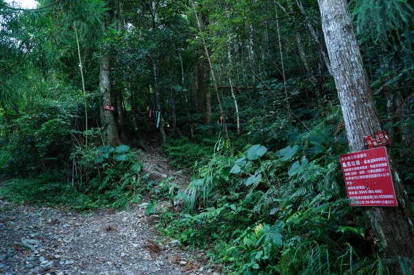 新竹 尖石 高台山、島田山2327029