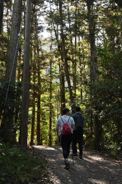 谷關七雄-白毛山2888253