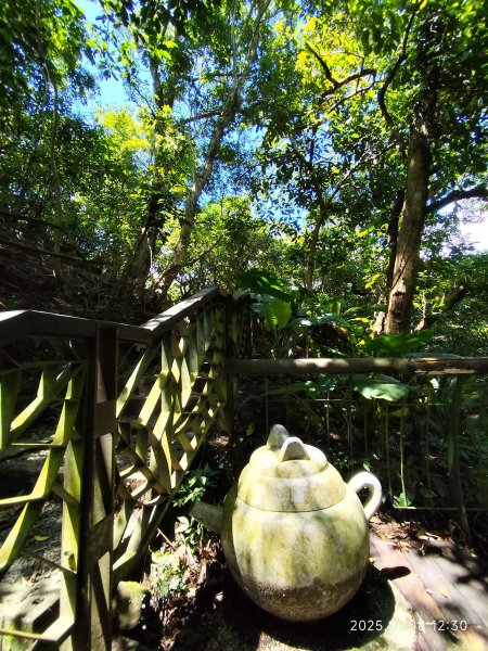 【臺北大縱走 7】2-2 指南宮貓空親山步道→壺穴步道→茶展中心步道→大成殿步道→指南宮竹柏參道2881865