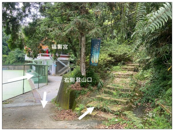 魚池尖山 (魚池富山) 中入右出2828924