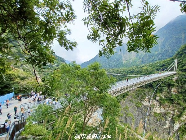 【花蓮秀林】跨距在蜿蜒曲折的立霧溪上。 布洛灣吊橋 (山月吊橋)2238565
