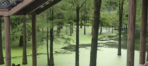 青山湖3089604