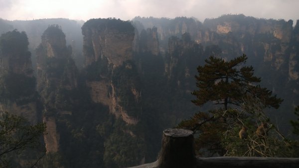 張家界20191414009