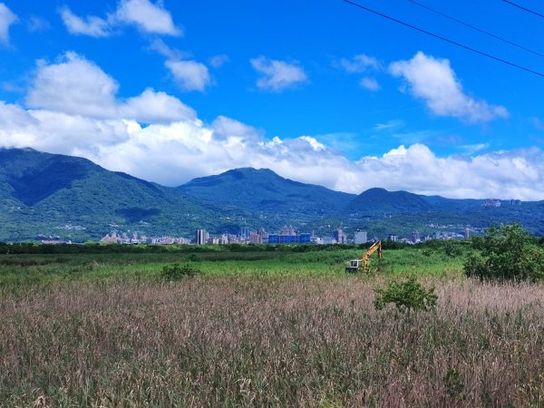 2023年臺北大縱走第八段：捷運動物園站至捷運關渡站[河濱自行車道]2293012