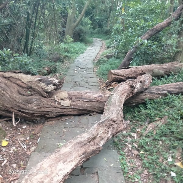 臺北大縱走第一段：關渡至二子坪2840464