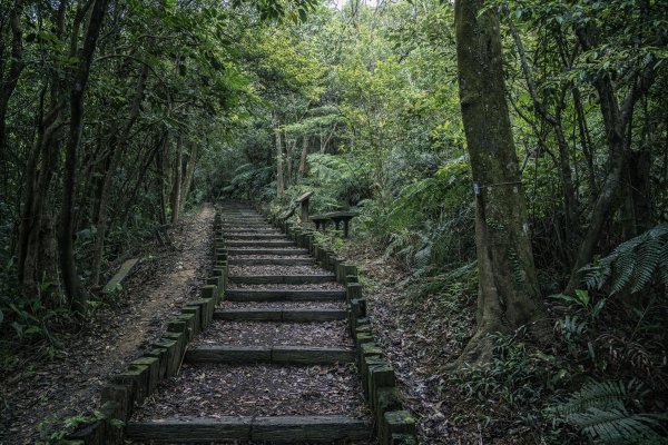 2020-4-8大崙頭山1409227