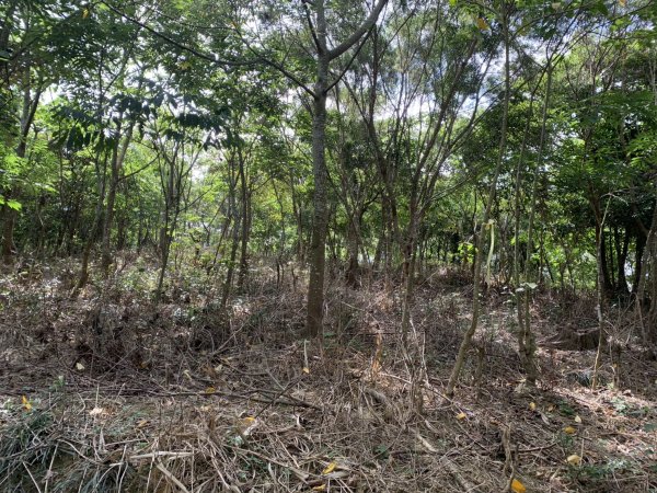 20250503屏東保和以山2781445