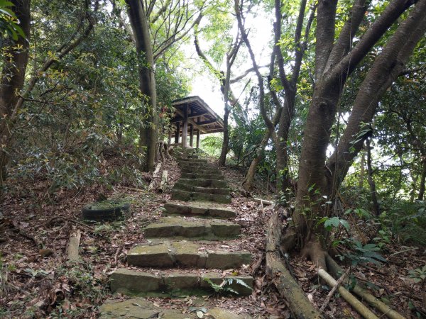 走永春寮步道登中正山，由第一登山口轉頂湖山下頂湖 (2021/3/26)1416709