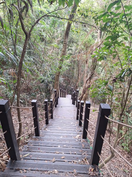 雪山坑步道202604223045726