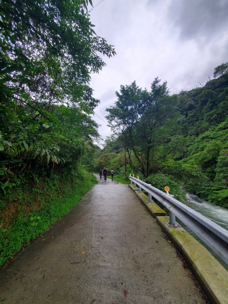 【福隆 | 草嶺古道】1172508