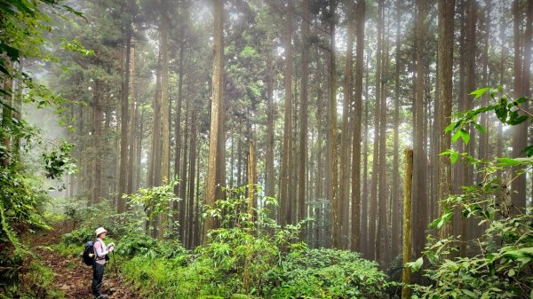 【中級山】有一種美，令人不想回家，新竹鵝公髻山2744672