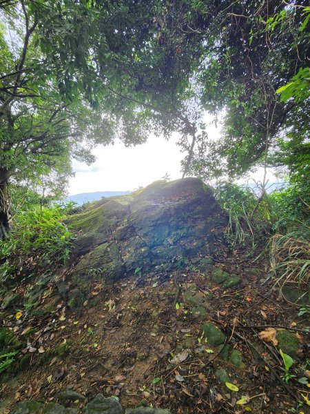 20240928 土城頂埔到永寧（大暖尖山，火焰山，石壁寮山）2608921