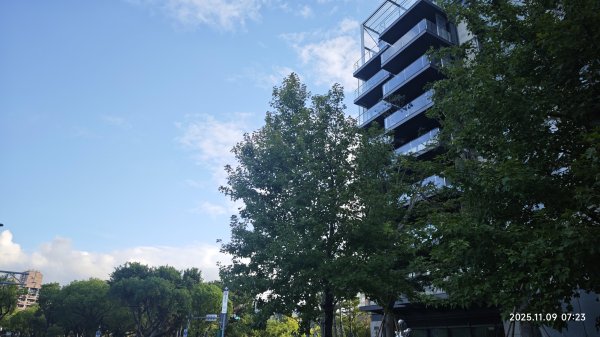 20251109 士林站到大湖站(福山宮_腰繞_燕溪古道_翠山步道_龍船岩_大溝溪)2932312