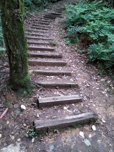 【小百岳14】土庫岳完成-71234848