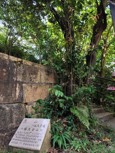 象山公園→六巨石→象山峰→拇指山頂峰登山口→南港山南峰→南港山→九五峰→中華科技大學【臺北大縱走6】2556102