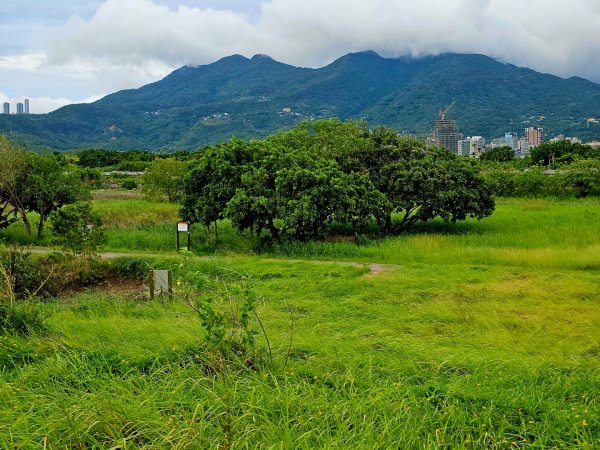 2025臺北大縱走第八段：捷運動物園站至捷運關渡站[河濱自行車道]2924045