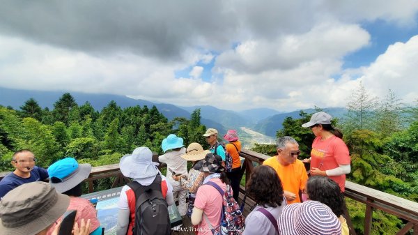 《苗栗》短美清幽｜二本松山丸田砲臺遺址及巨人之手202407202555118