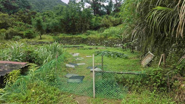 20250519石碇大崙-南勢坑山-鑽石峰-人頭面山-南勢坑大尖-小尖山主前北峰2791612