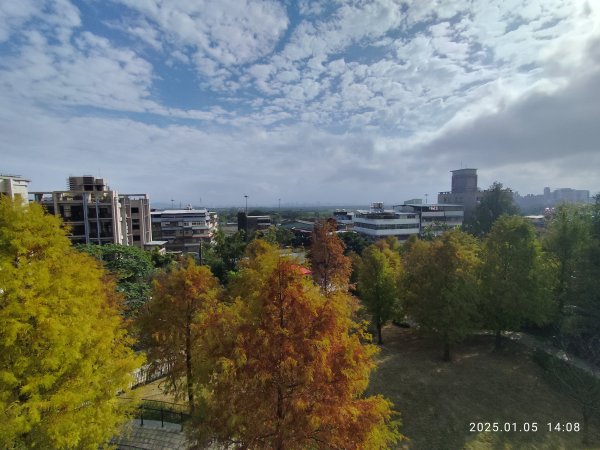 行天宮北投分宮、師大公園、臺北市立美術館2683312