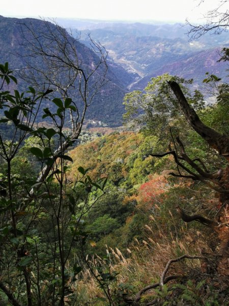 步道巡訪員 l 鳥嘴山步道12月巡訪日誌1200898