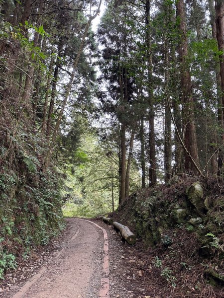 漫步特富野古道2371471