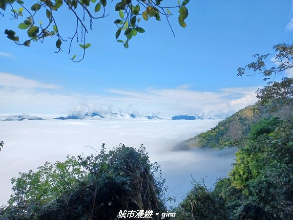 【台南。 楠西】滿滿的雲海太驚豔。 小百岳集起來。 編號67小百岳~竹子尖山步道1605930