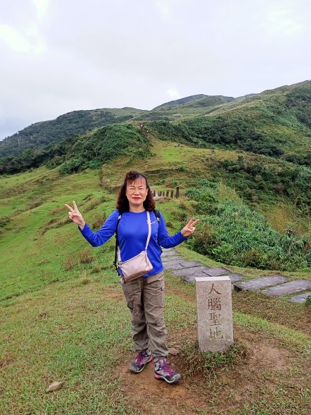 【新北-臺灣百大必訪步道】灣坑頭山→福德山→桃源谷草嶺線→大溪線→蕃薯寮山→大溪火車站1524588