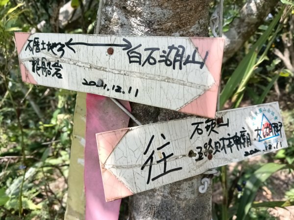 內湖區大丘田保甲路+開眼山+白石湖山+白石湖山東峰+大邱田山+消防山O型2858913