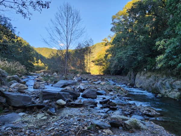 【中級山縱走】羅馬縱走，走進神木的夢幻童話森林世界2943264