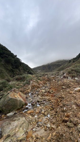 漫遊陽明山2951921