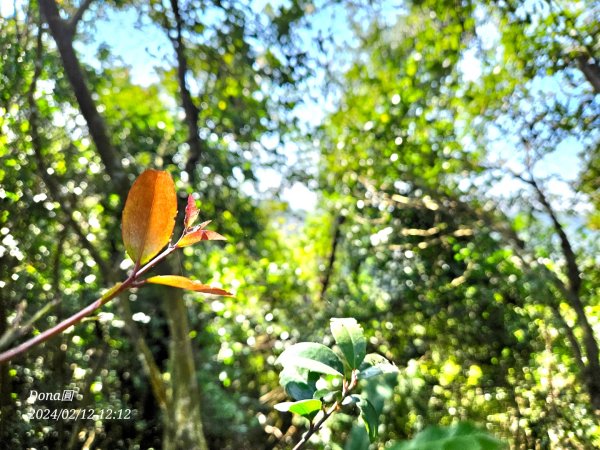 粗坑口尖.碇內尖.龍門山O型2985722