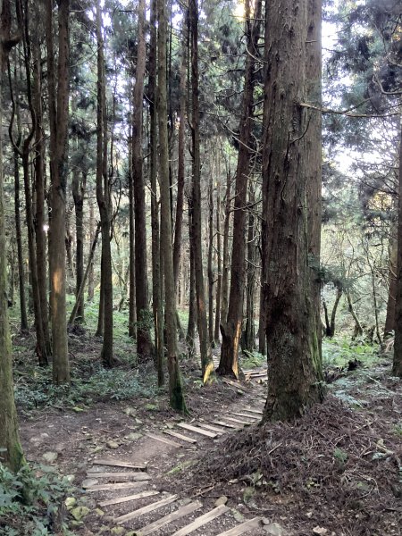 漫步特富野古道1604541