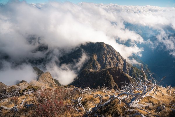 心映雪翠｜Mt.Xue｜Taiwan 785805