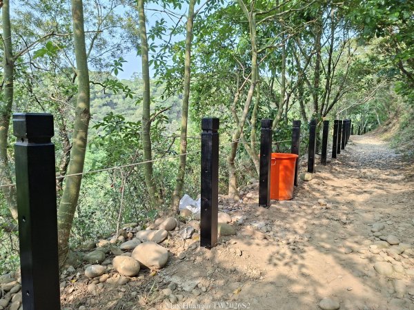 《台中》綠色隧道｜大肚環保公園登山步道O繞202604183038501