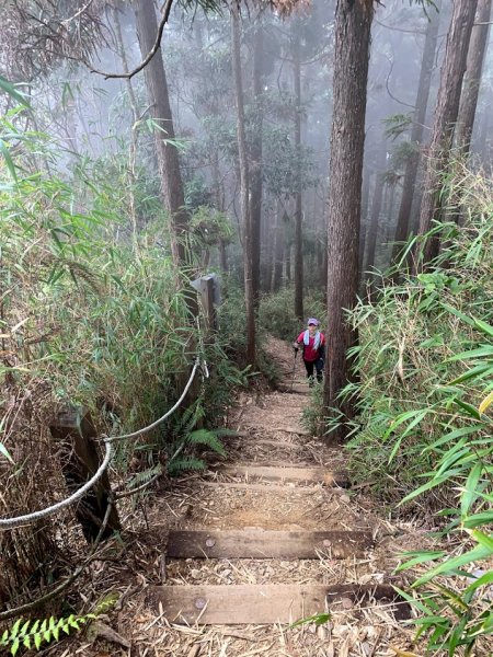 109-02-29谷關七雄老大-八仙山861919