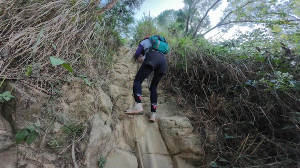 高雄 大社觀音山2960475