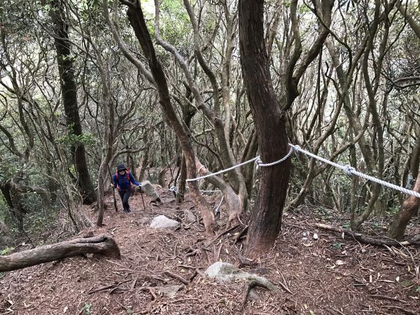 登橫嶺山環走自然步道118229