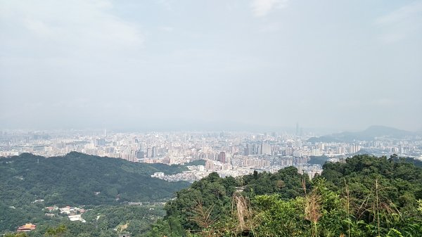 2018 11 16烘爐地登山步道(南勢角山)460879