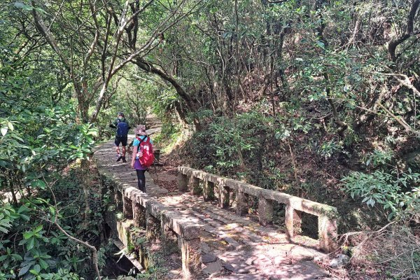 草嶺古道-大溪線-桃源谷-虎字碑-草嶺古道-福隆 202409092591641