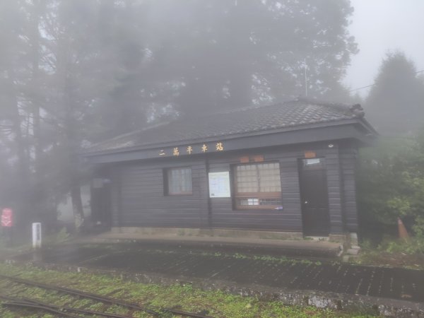 阿里山森林小火車2865037