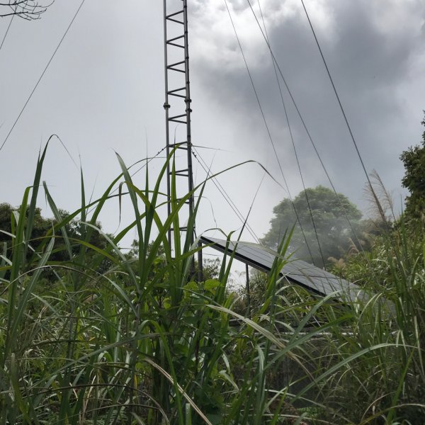 大凍山步道，頂湖出發935495