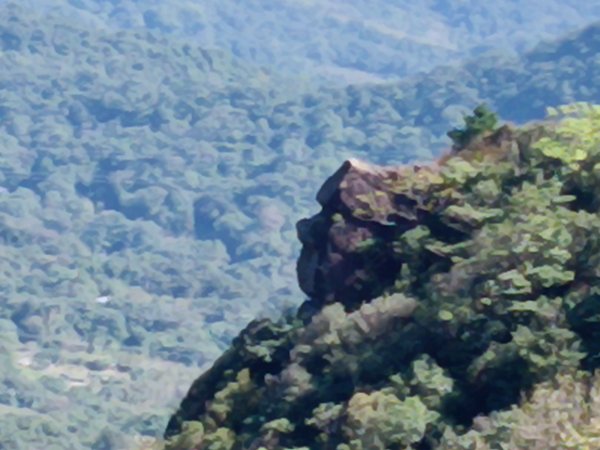 基隆市界寮縱走之七分寮山+友蚋山+印地安頭像+七汐農路O型