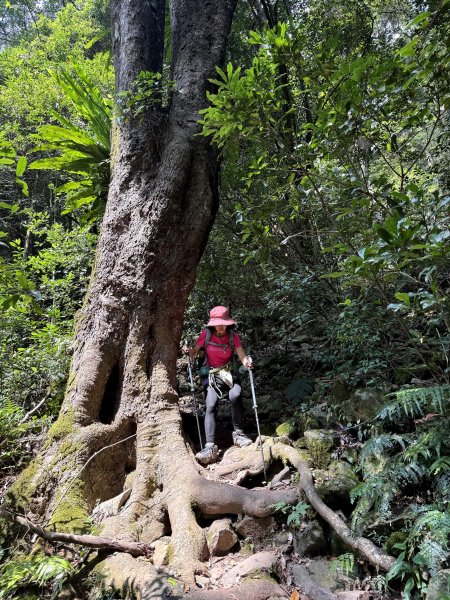 波津加山 202509142893388