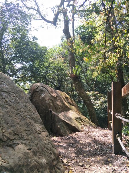 2018 03 29 細道邦山&馬那邦山298868