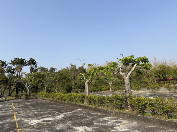 2026_0307 高雄田寮元辰殿3016352