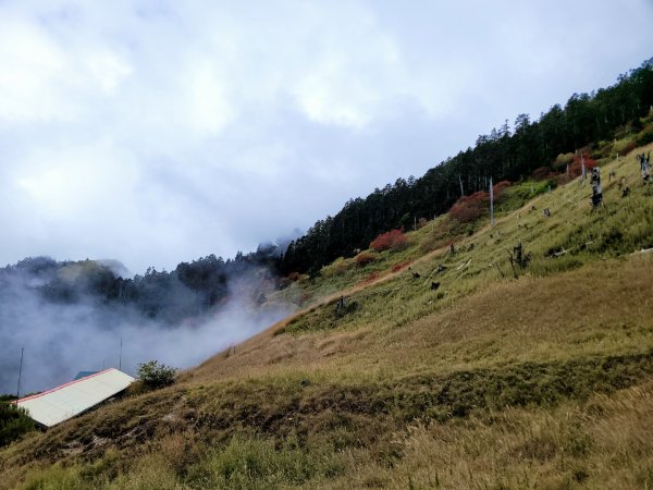 雪山北峰、北稜角(百岳第51座)1505852