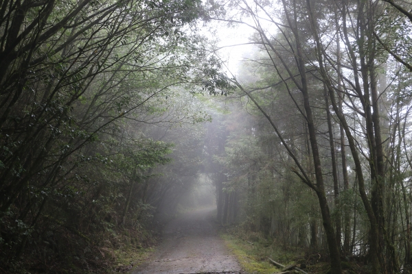 2015-09-26大雪山森林遊樂區22038