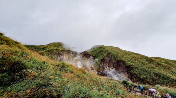 20251019 苗圃-七星山-小油坑