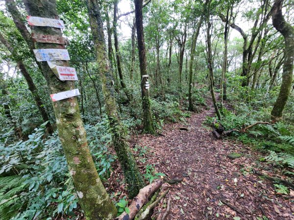 火燒寮山熊空山竹坑山加九嶺O型2966289